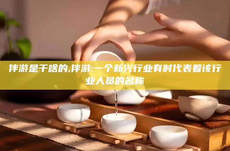 海南伴游是干啥的,伴游:一个新兴行业有时代表着该行业人员的名称